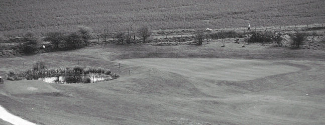 New 10th Green